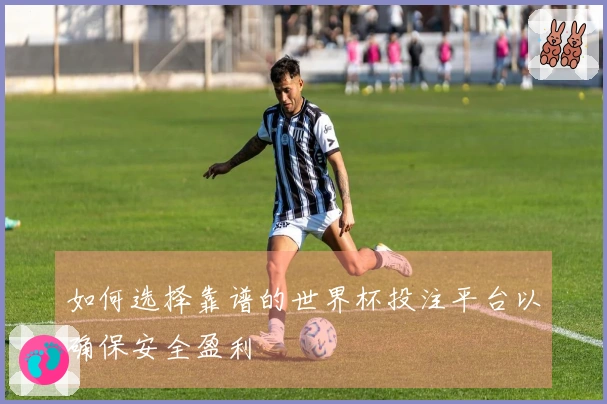 如何选择靠谱的世界杯投注平台以确保安全盈利