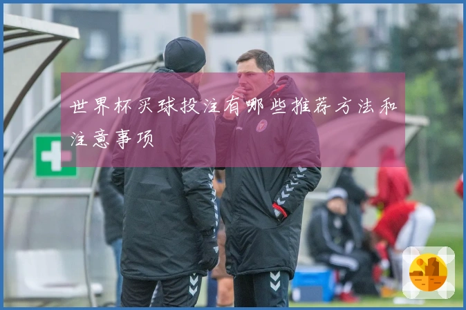 世界杯买球投注有哪些推荐方法和注意事项