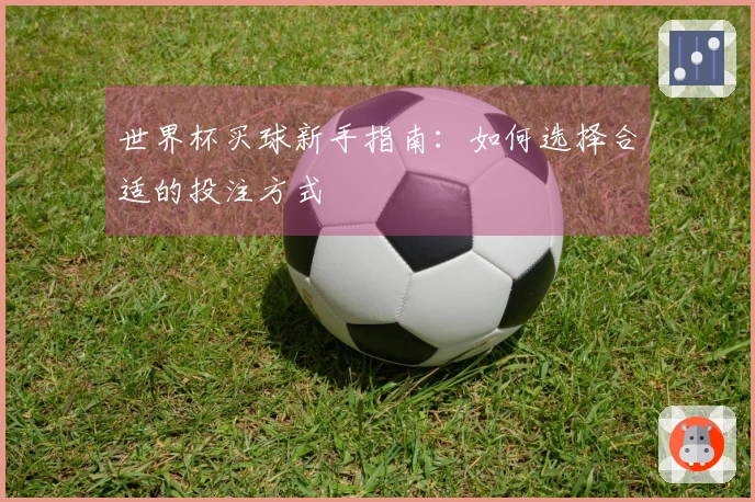 世界杯买球新手指南：如何选择合适的投注方式