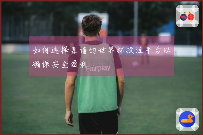 如何选择靠谱的世界杯投注平台以确保安全盈利