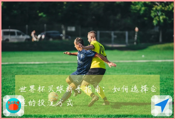 世界杯买球新手指南：如何选择合适的投注方式