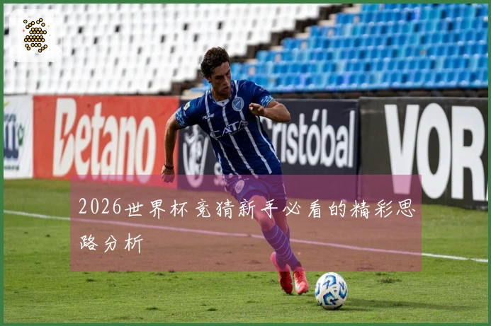 2026世界杯竞猜新手必看的精彩思路分析