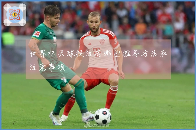 世界杯买球投注有哪些推荐方法和注意事项